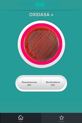 Antibiograma for iPhone screenshot 3
