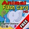 ★ Fun ★ Cute ★ Flash Cards