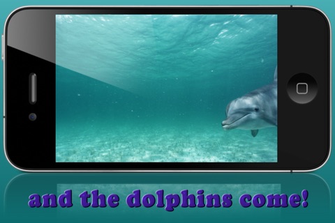 Playing with Dolphins screenshot 2