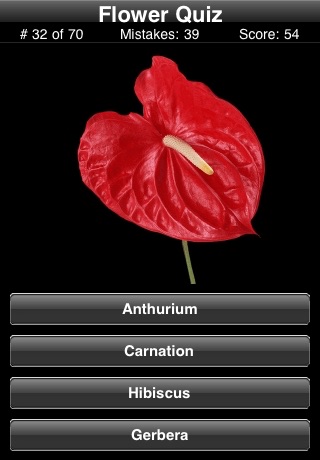 A Flower Quiz screenshot1