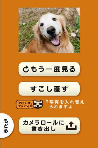 スライドショー作成アプリ「わたし、犬、いぬ」思い出ぽん！ screenshot 4