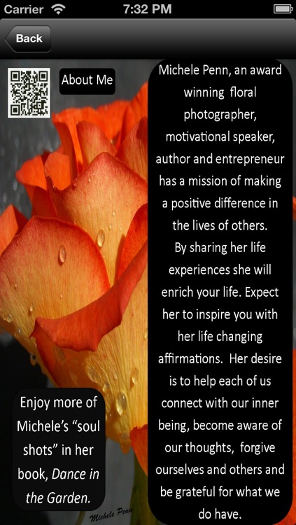 Forgive