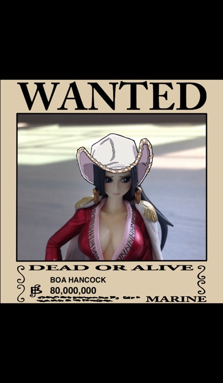 OP Poster Maker - An One Piece style pirate wanted poster maker