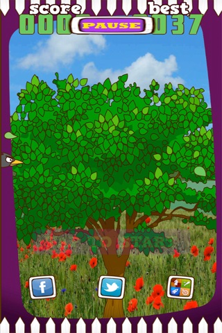 The Purple Bird Escape screenshot 2