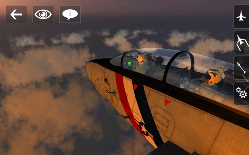 A.C.E. Tomcat thumbnail 4