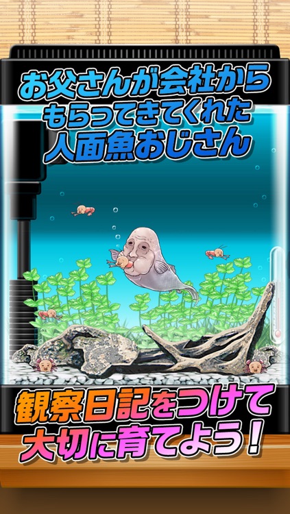 育成ゲーム 人面魚おじさん育成キット By Jyunji Satoda