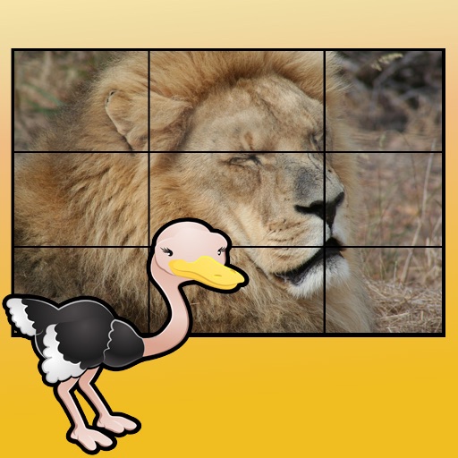 jungle animals puzzles for kids icon
