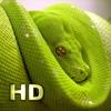 iSnakes HD