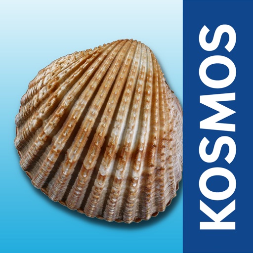 Clams and Snails of the North and Baltic Sea