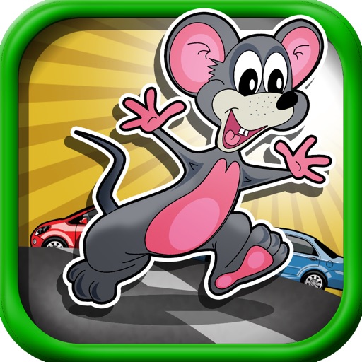 Cross Roads - Avoid Traffic iOS App