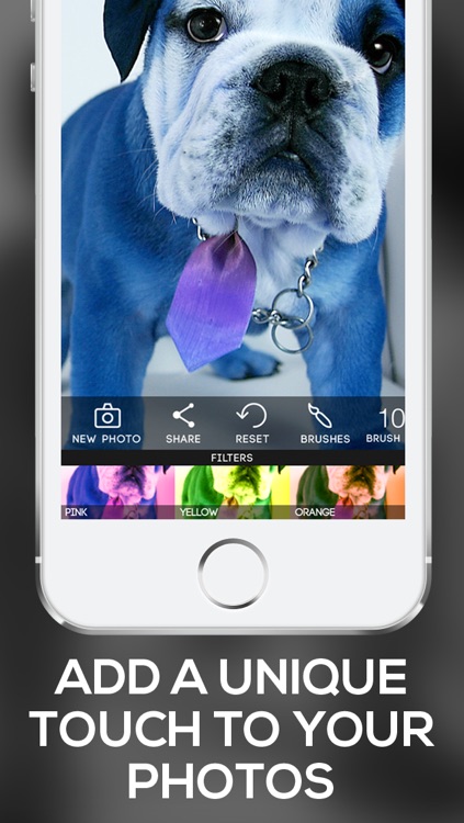 Color Filters: Custom Photo Filters + Photo Enhancements + Paint Effects
