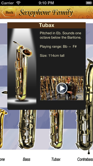 Saxophone All-in-one(圖3)-速報App