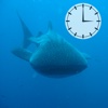 Image Clock Diving