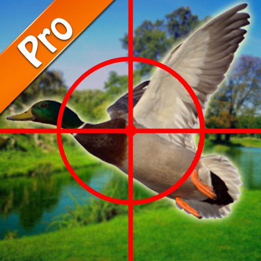 Duck Hunting pro free gamer for master hunters. iOS App