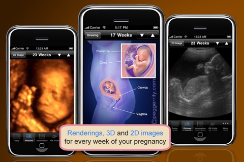 iPregnancy (Pregnancy App) screenshot 2