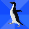 Socially Awkward Penguin Pro