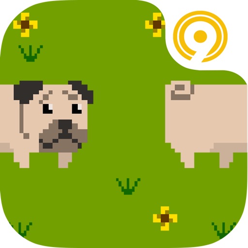 Pug Tail iOS App