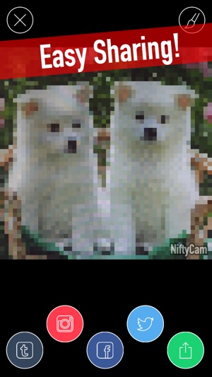 NiftyCam - Realtime Filters!(圖4)-速報App