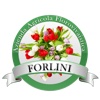 Forlini Garden