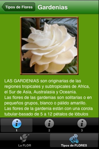 Flores del Mundo screenshot 3