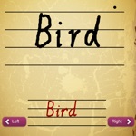 Baby write the word