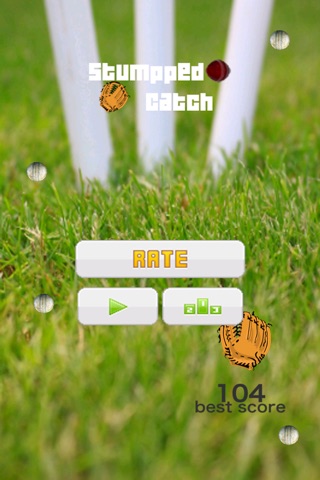 Stumpped Catch screenshot 3