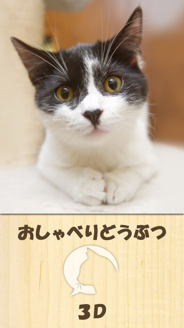 おしゃべりどうぶつ3D screenshot1