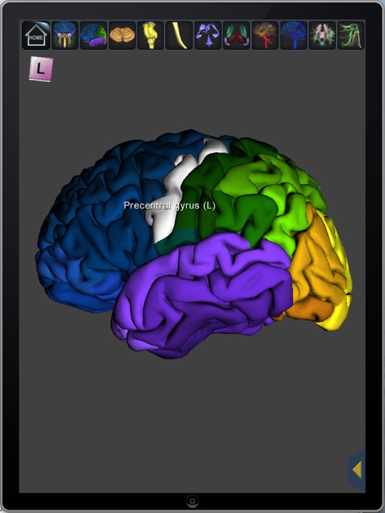 The Complete Human Brain PRO screenshot-3