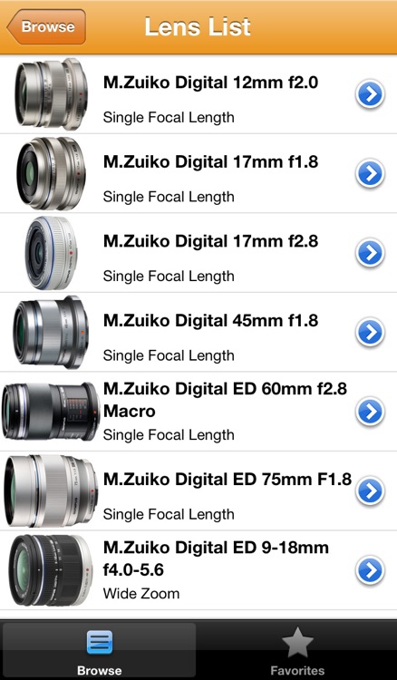 Mirrorless Lenses - Camera Lens Guide