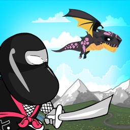 Ninjas vs Dragons – Deadly Ninja Adventure in the Land of the Dragon