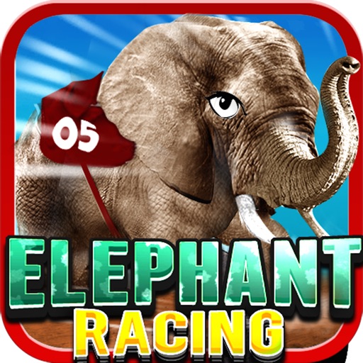 Elephant Racing icon