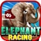 Elephant Racing