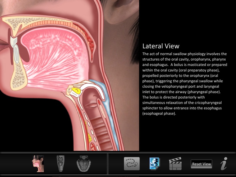 Swallow ID screenshot-3