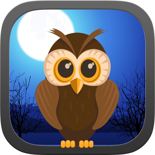 Dark Night Owl Shooter Game iOS App