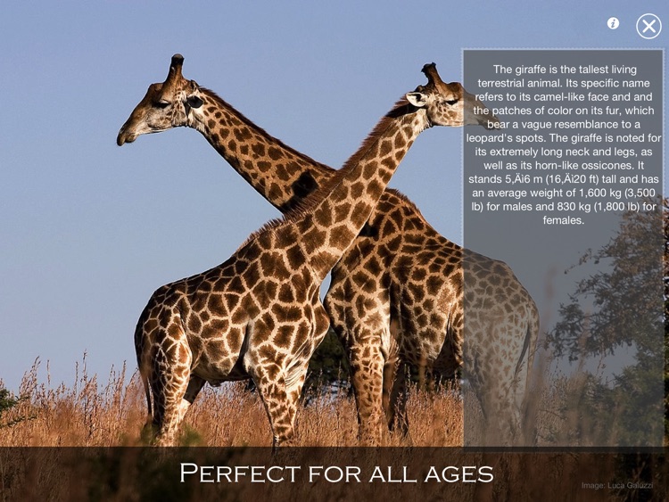 Animal Wonders of the World screenshot-4