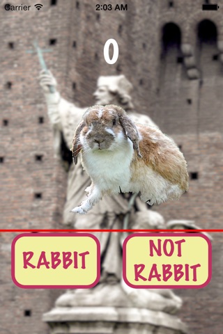 Rabbit or Not screenshot 2