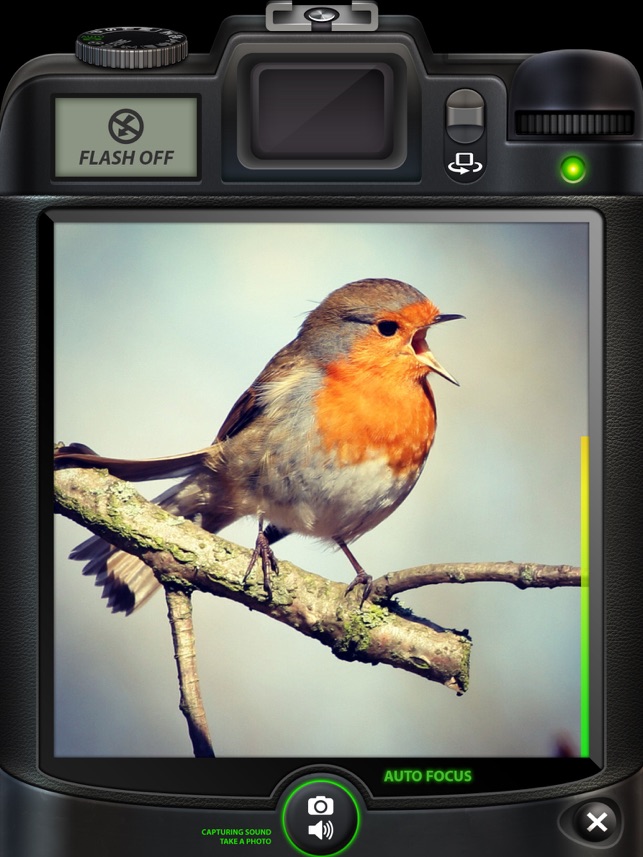 Camera SX for iPad : Photo with Sound(圖4)-速報App