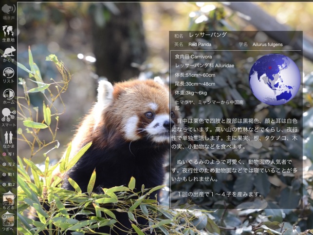 Animal Life for Japan(圖3)-速報App