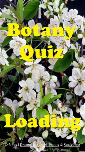 Botany Quiz