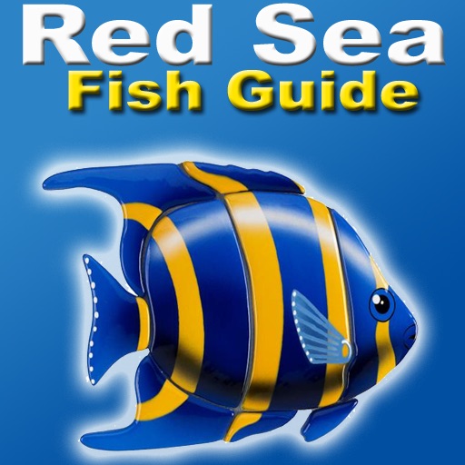 Red Sea Fish id icon