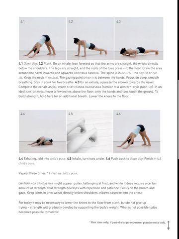 Yoga Course 1.0 screenshot 4