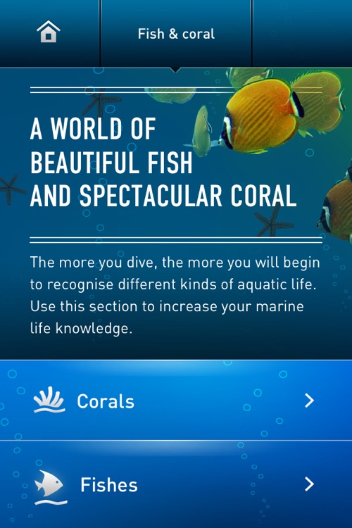 Dive Guide