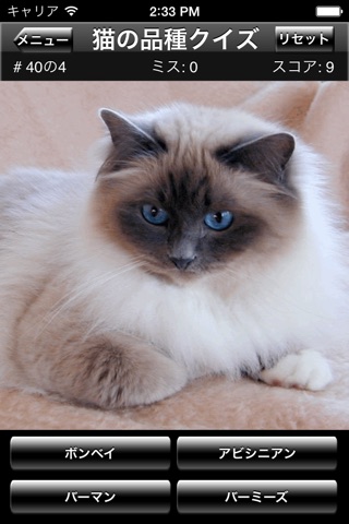 Cat Breed Quiz screenshot 3