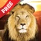 Free Kids Puzzle Teach me Wild Animals Safari Photo