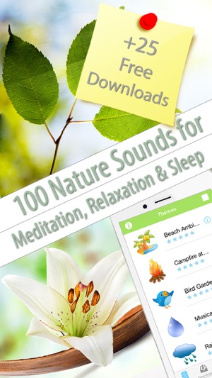 Relaxing Nature Scenes (helps to relax, meditate, sleep and (圖1)-速報App