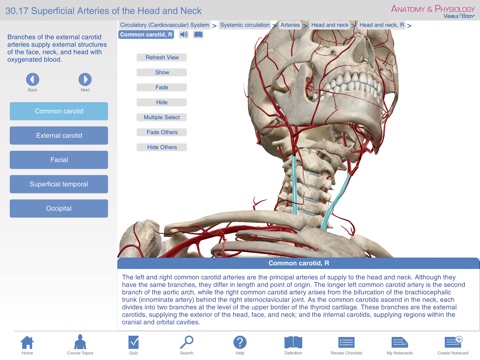 Anatomy & Physiology for Springer (Anatomie & fysiologie voor Springer) screenshot 3