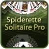 Spiderette Solitaire Pro for iPad