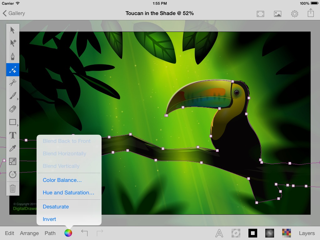 iDraw Pro: Vector illustrator for iPad screenshot 2