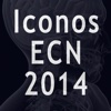 Iconos aux ECN