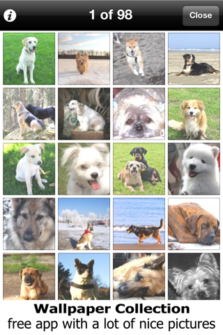 How to cancel & delete Wallpaper Collection: Cute Dogs from iphone & ipad 2